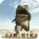 小天鵝給個(gè)機(jī)會表情包