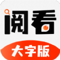 閱看小說大字版