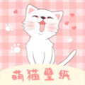 萌貓桌面壁紙