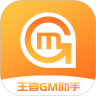 王者GM助手正版