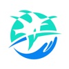 政通雄安健康碼最新版