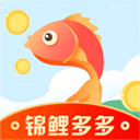 錦鯉多多安卓版