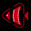 神魚號app安卓版