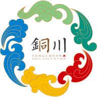 銅川政府網(wǎng)手機客戶端