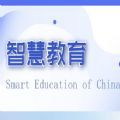 國(guó)家智慧教育公共服務(wù)平臺(tái)app官網(wǎng)正式版 v1.0