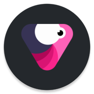 velomingo app最新版