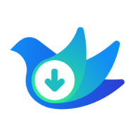 云雀網(wǎng)頁視頻下載器app