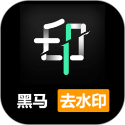黑馬去水印app安卓版