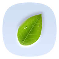 白露app酷安版
