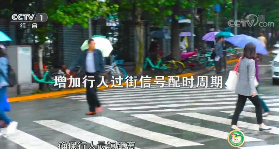 中央電視臺平安行專題節(jié)目2023直播視頻回放最新版app v2.4.3.51028