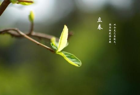 立春圖片大全最新圖2021圖片1