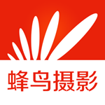 蜂鳥攝影