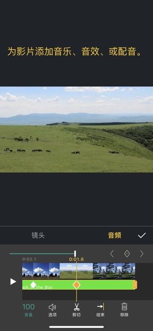 完美視頻