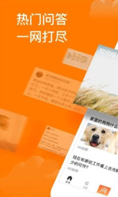 悟空問答下載安裝紅包版