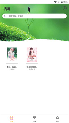 魯晟小說下載安裝