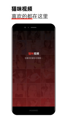 貓咪視頻下載最新版