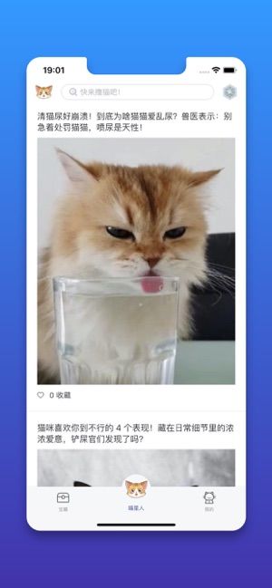 行走的喵星人app手機(jī)版