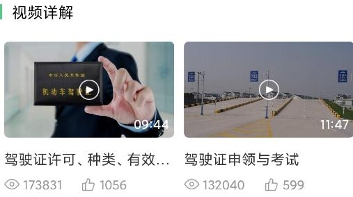 斑斑駕道定制版app安卓版
