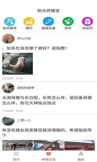 陽光養(yǎng)豬寶