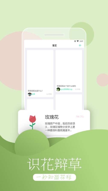 花圃天下