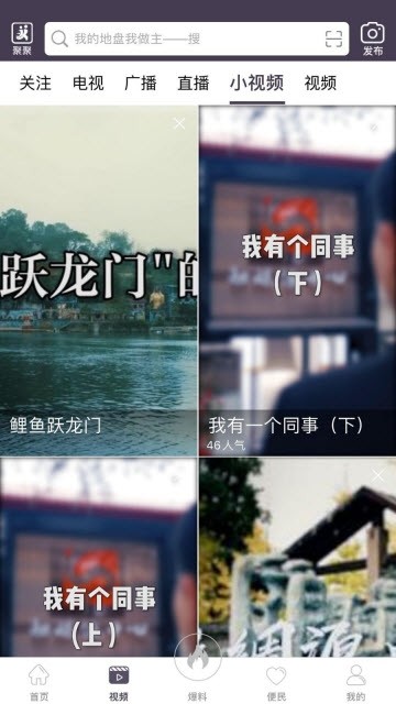 南充見