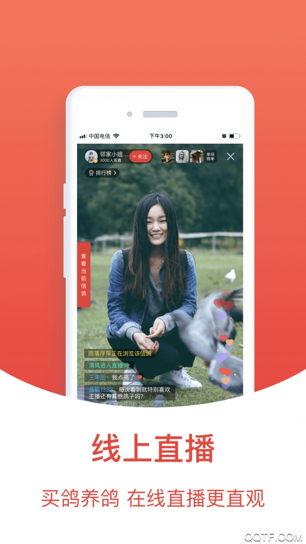 賽鴿頭條搜鴿天下最新版