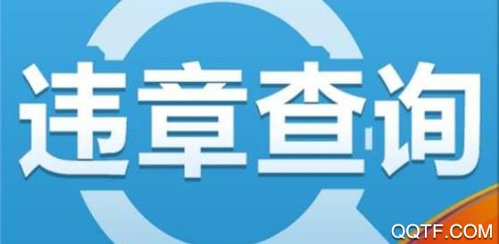 山東違章繳費易app安卓版