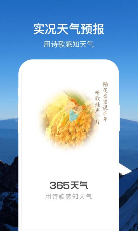 365天氣