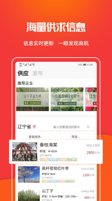 苗木網(wǎng)
