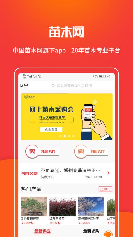苗木網(wǎng)