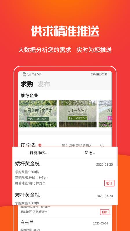 苗木網(wǎng)