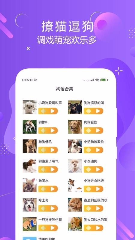 貓狗語言翻譯交流器