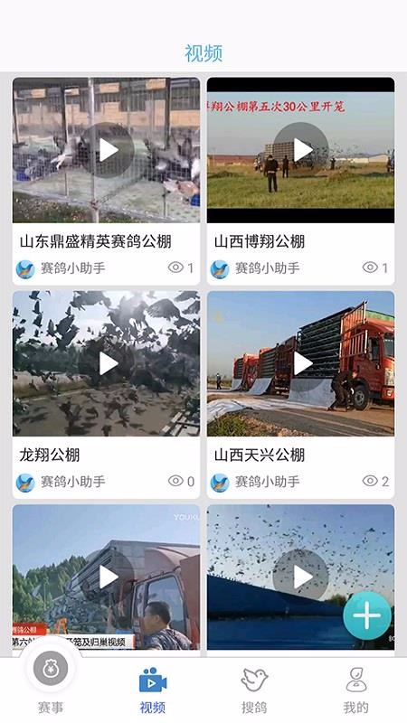 賽鴿助手