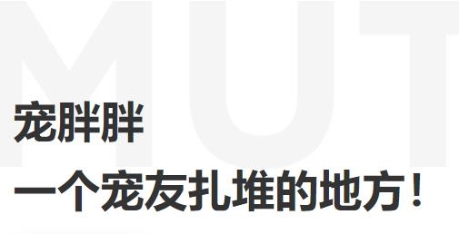 寵胖胖安卓版