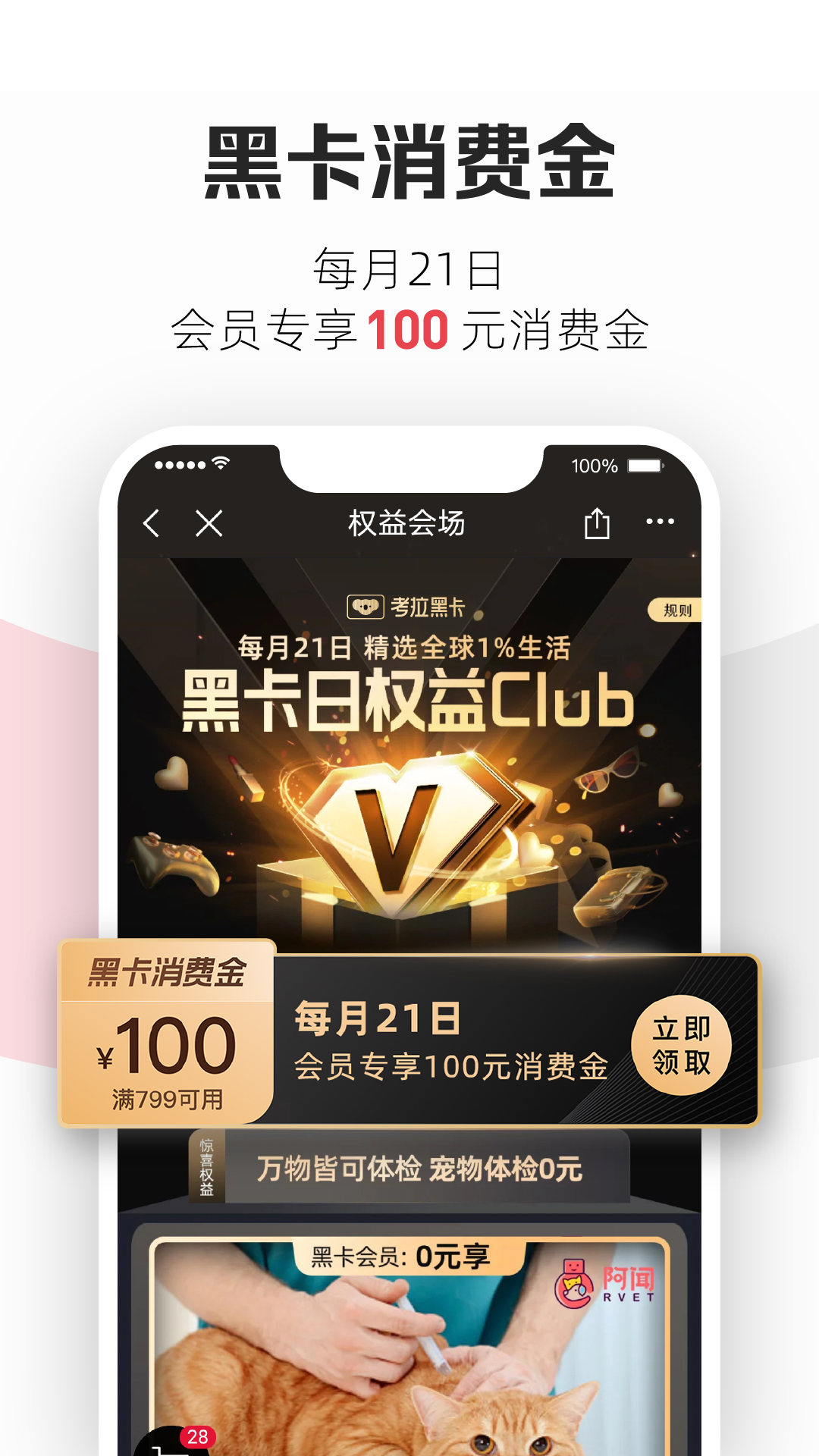考拉海購app官方版