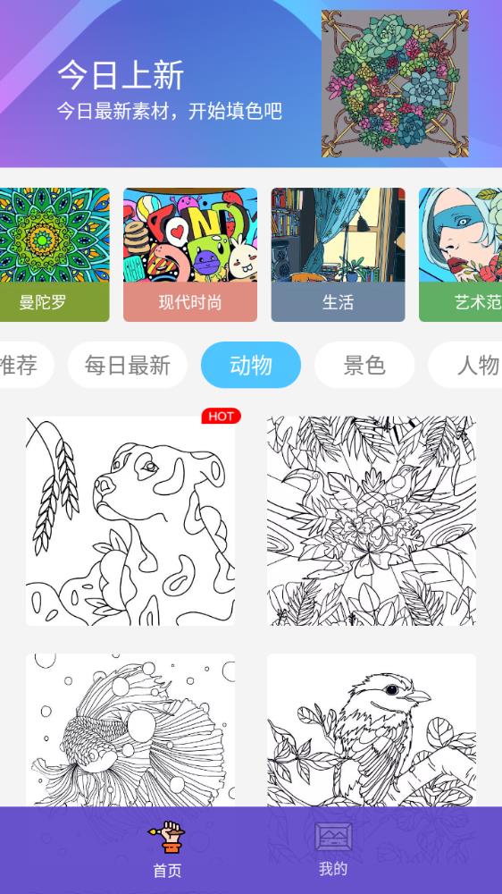 Paint數(shù)字填色安卓版