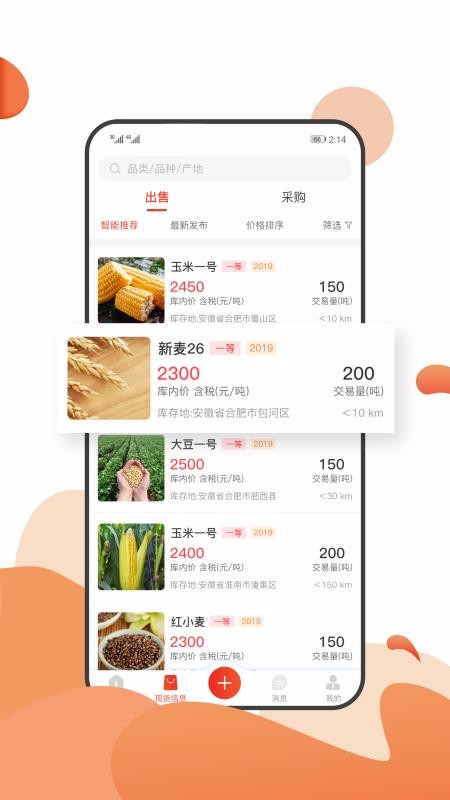 大糧淘糧