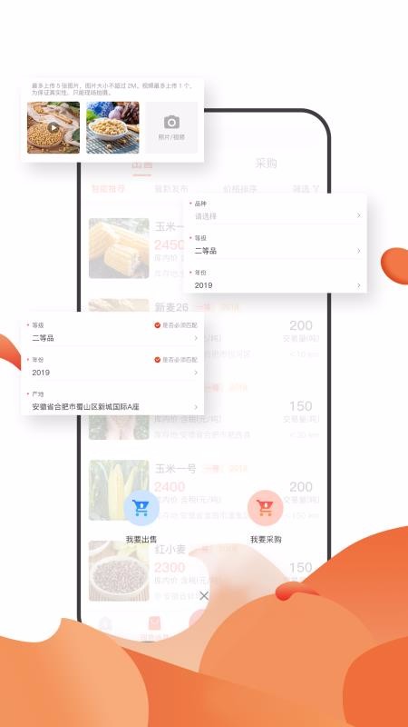 大糧淘糧