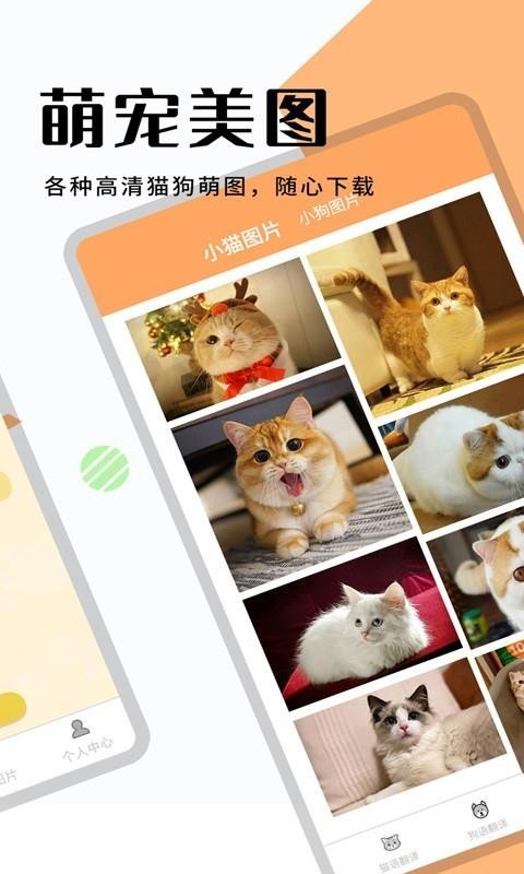 貓狗翻譯器