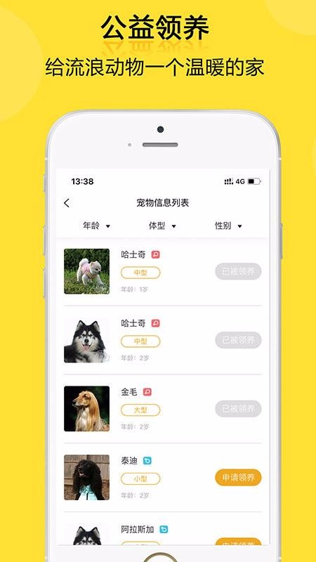 阿拉寵