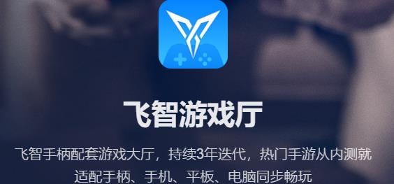 飛智游戲廳官方下載安卓手機