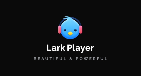 Lark Player最新版(百靈鳥播放器)