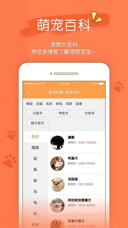 寵物部落