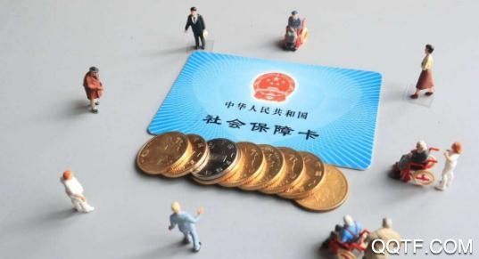 德州人社局社保查詢平臺app最新版