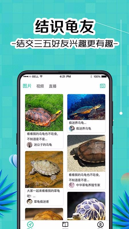 龜友圈