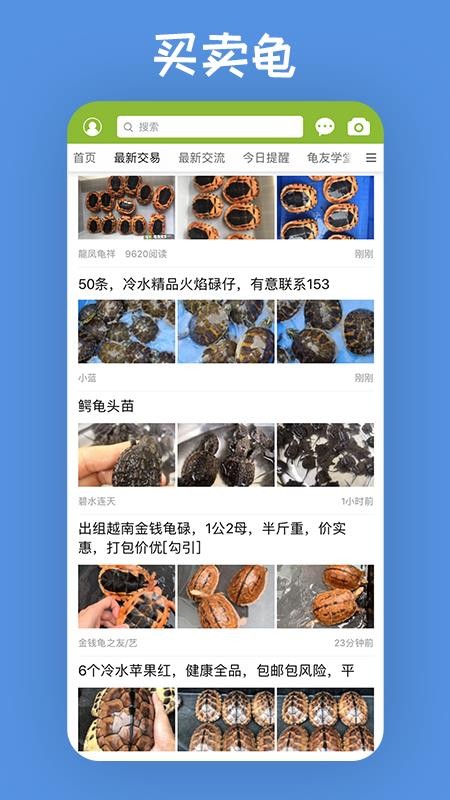 龜友天下
