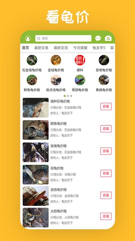 龜友天下