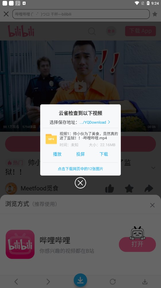 云雀網(wǎng)頁視頻下載器app