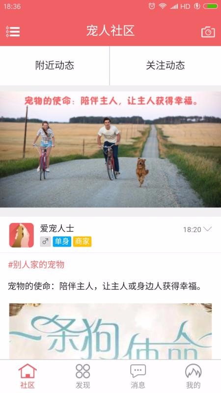 寵人