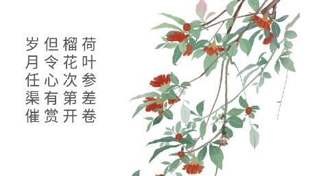 心賞app官方版